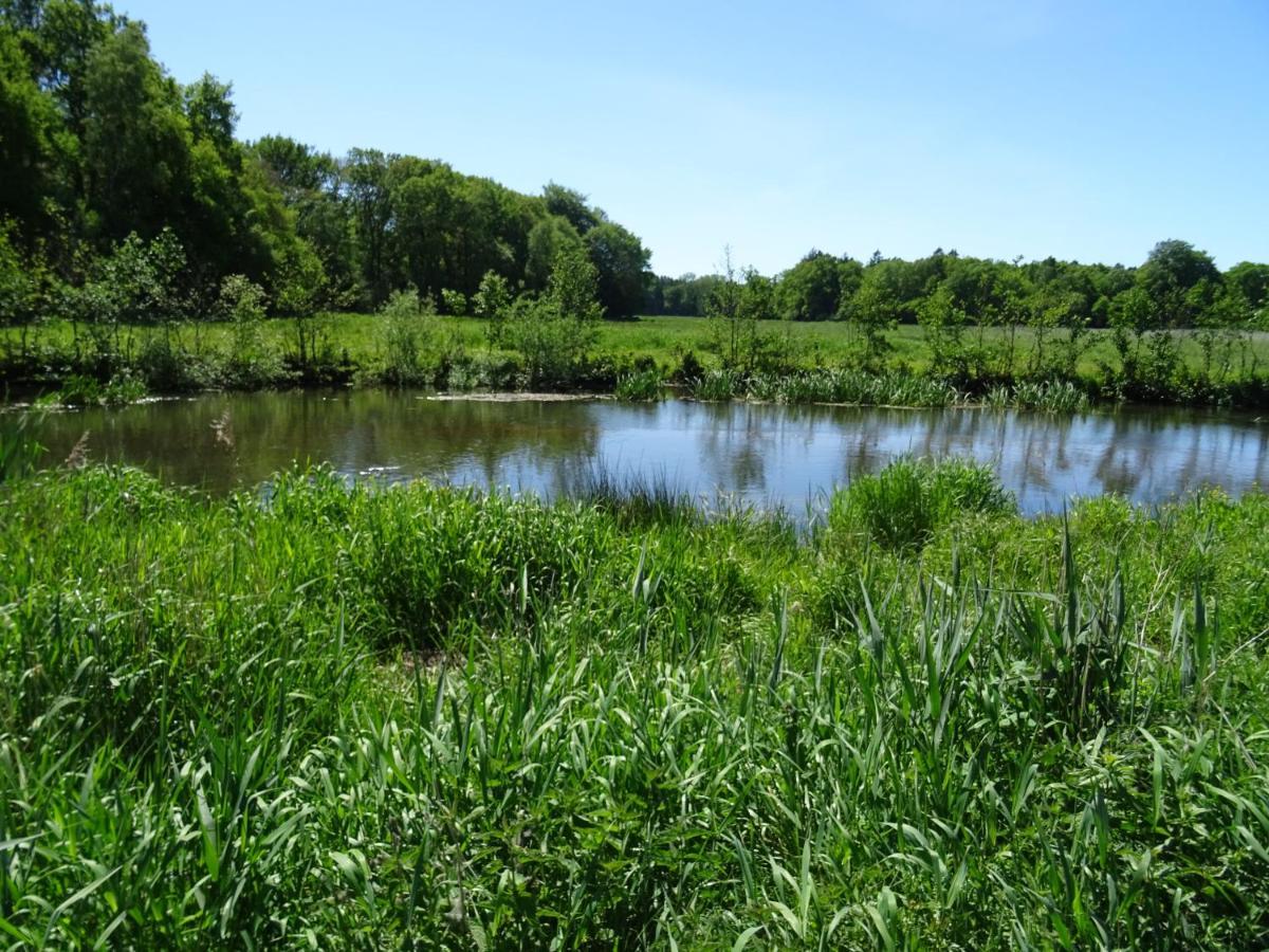 Haus Wald Und Wiese Wohnung Wiese Ehndorf Esterno foto