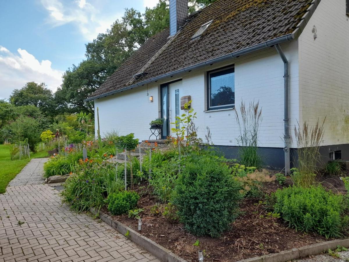 Haus Wald Und Wiese Wohnung Wiese Ehndorf Esterno foto