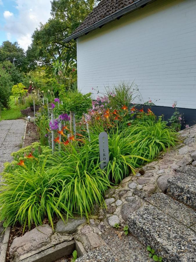 Haus Wald Und Wiese Wohnung Wiese Ehndorf Esterno foto